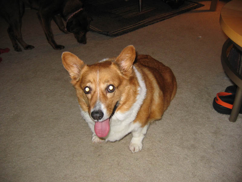 Andy_1.jpg