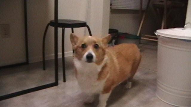 Molly_3.jpg
