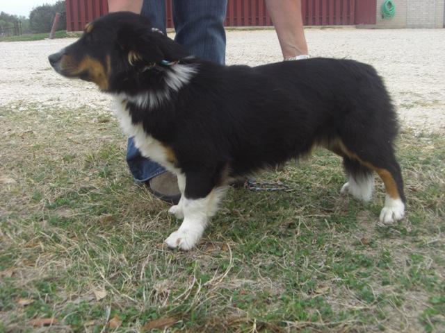 lilly2_004.JPG