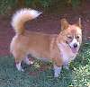 CALEB_IN_THE_SHADE_7-12-04.JPG