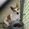 Copy_of_spencer_at_shelter.JPG