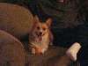 DSC00773.JPG