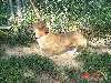 DSC02514.JPG