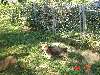 DSC02519.JPG