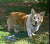 ESTELLE_SIDE_GOOD_3-30-04.JPG
