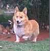 Fios_5-25-03.jpg