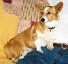 On_Sofa001.jpg