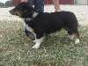 lilly2_004.JPG