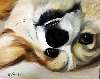littledevil_corgi.jpg