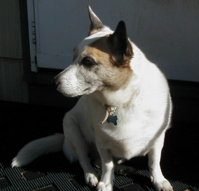 Nakita
